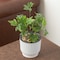 Gardenised White Flower Pot Self Watering Planter, PK 6 QI003985.6 - alternate 2